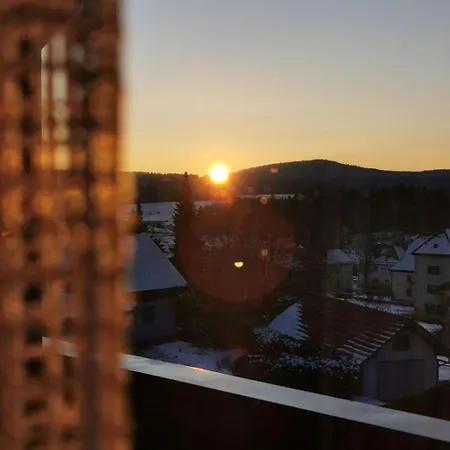 Appartement Mit Grosser Dachterrasse By Interhome *
