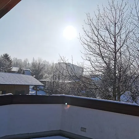 Appartement Mit Grosser Dachterrasse By Interhome *